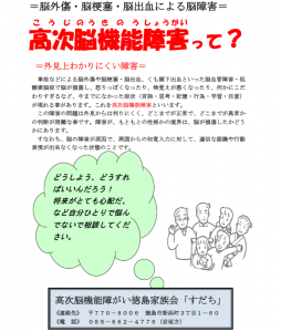 高次脳機能障害とは 高次脳機能障がい徳島家族会すだち